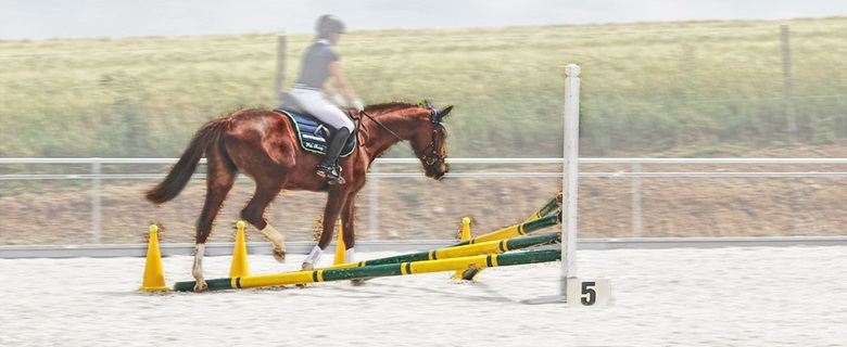 Breitensport